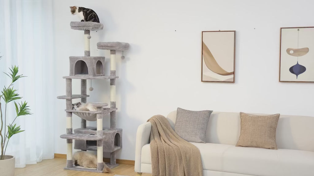Grand Arbre pour Chats