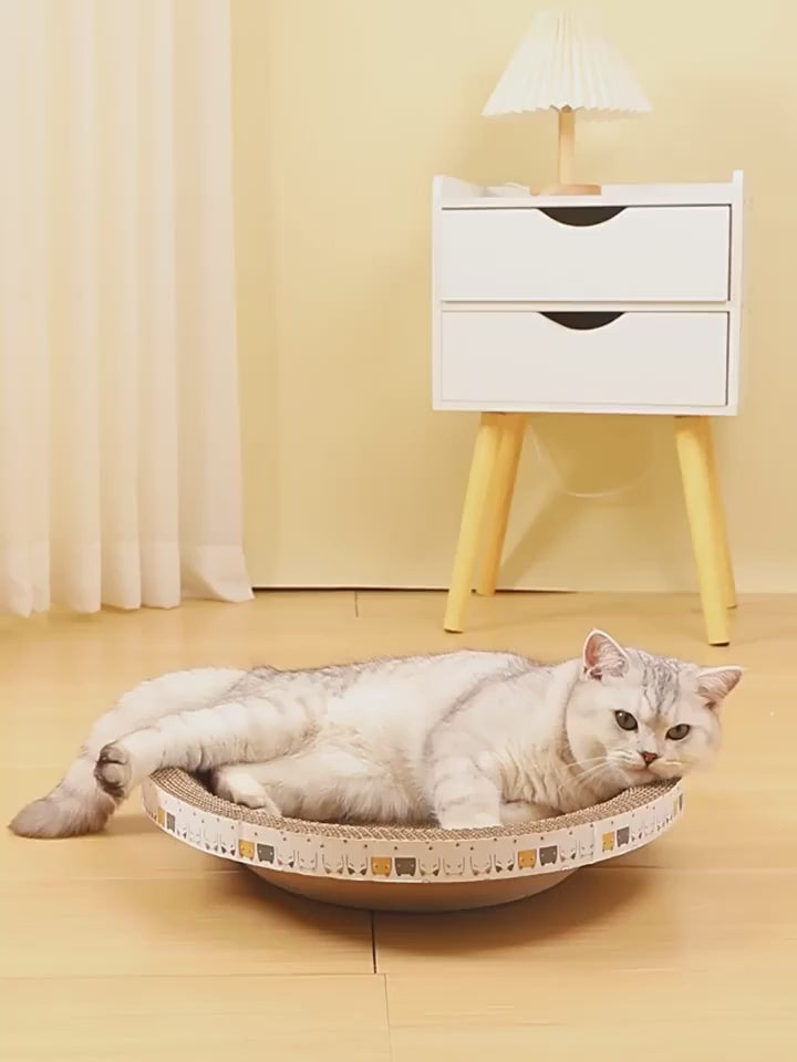 Griffoir cocon en carton ondulé - chat
