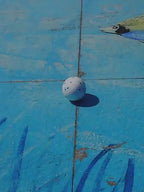 Balle interactive résistante aux morsures pour chien