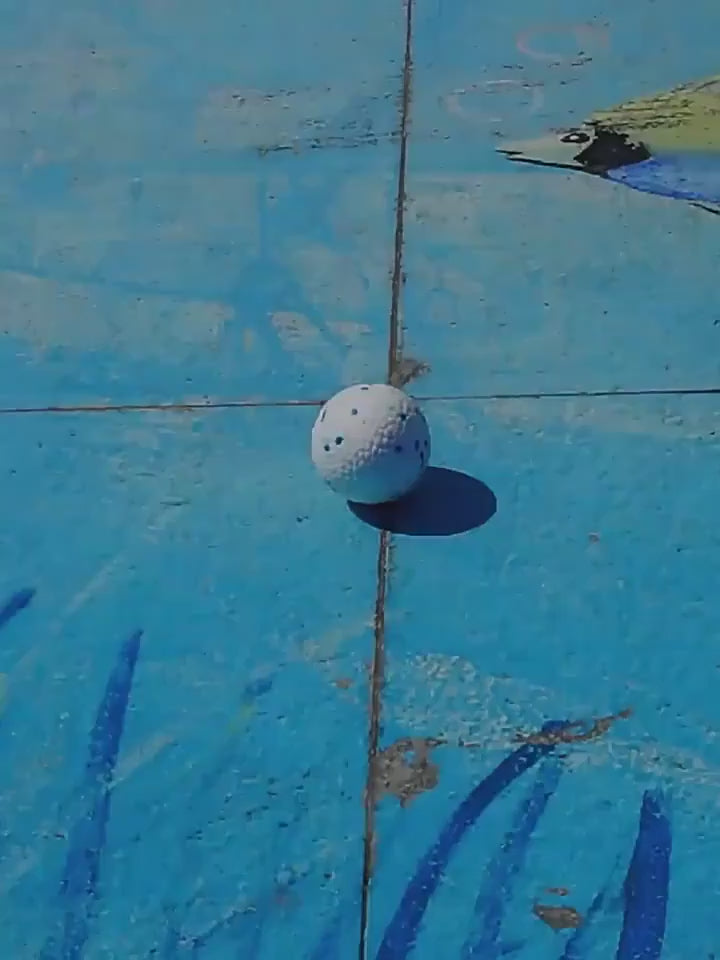 Balle interactive résistante aux morsures pour chien