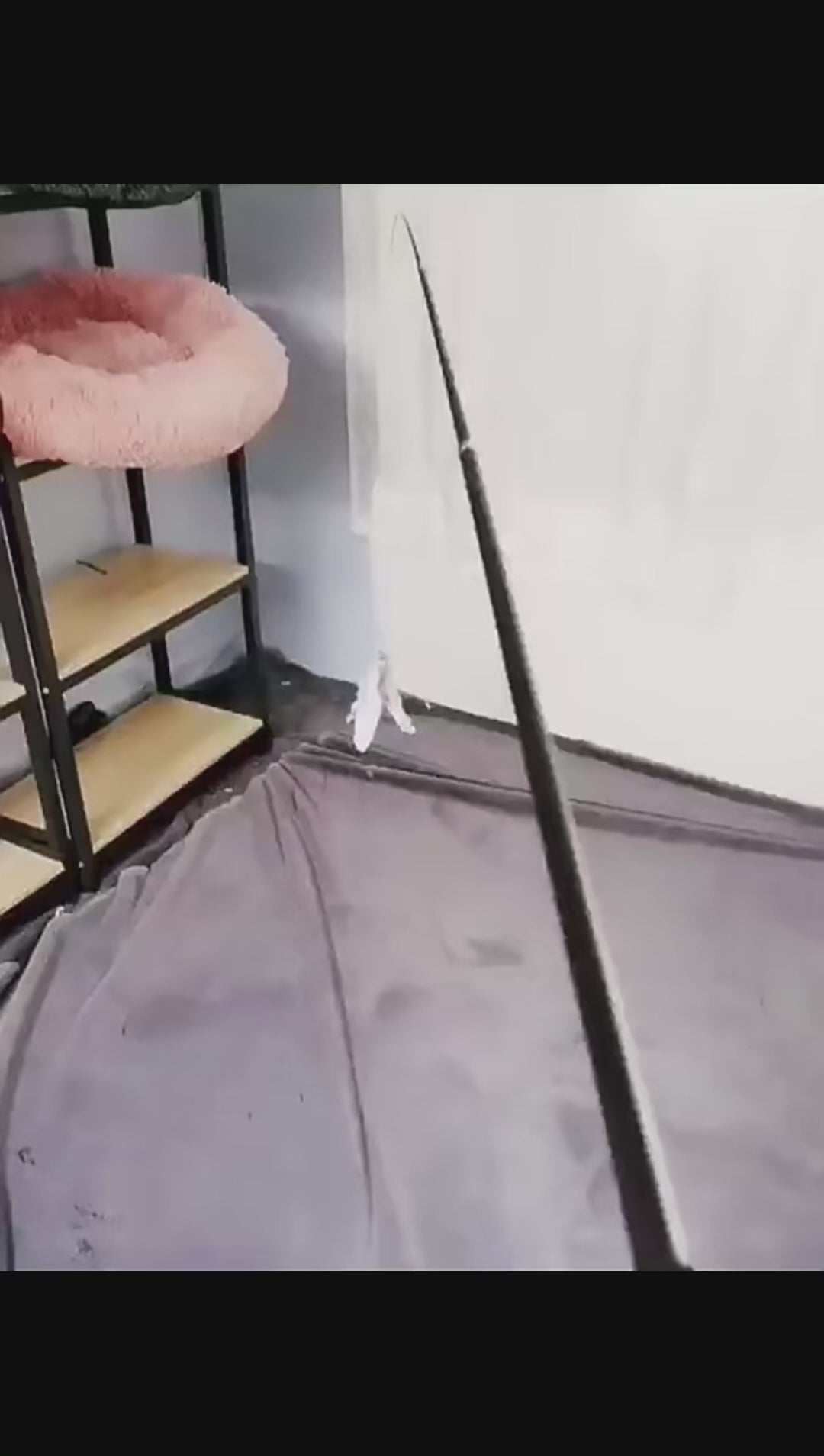 Canne à pêche télescopique avec plume pour chat