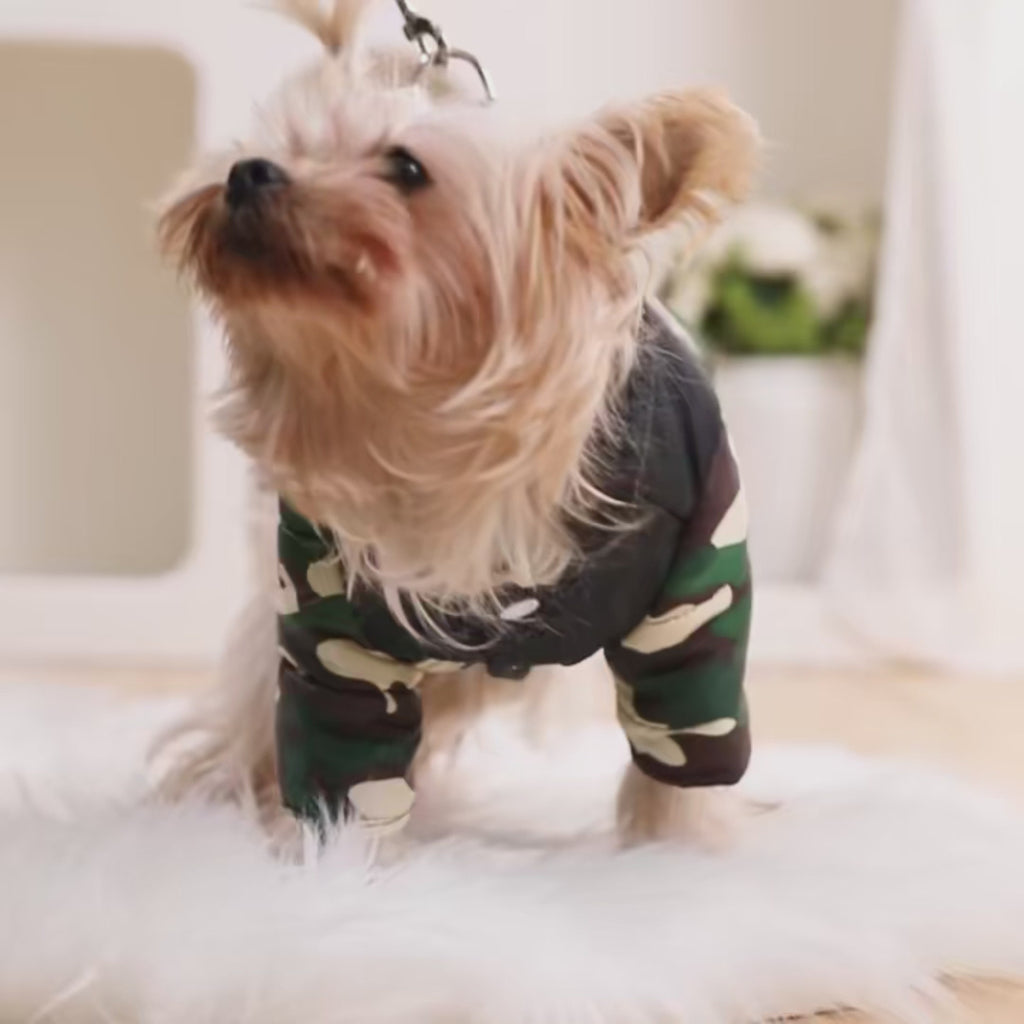 Veste d’Hiver Camouflage pour Chien et Chat