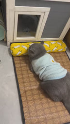 Tapis rafraîchissant été en rotin avec oreiller – Chat & petit chien