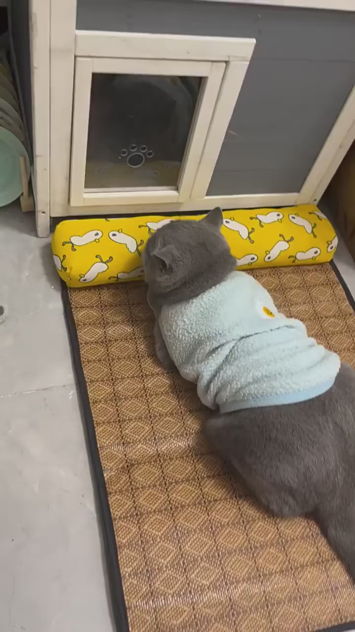Tapis rafraîchissant été en rotin avec oreiller – Chat & petit chien