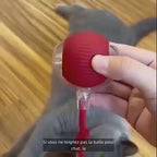 Balle interactive rechargeable pour chien & chat