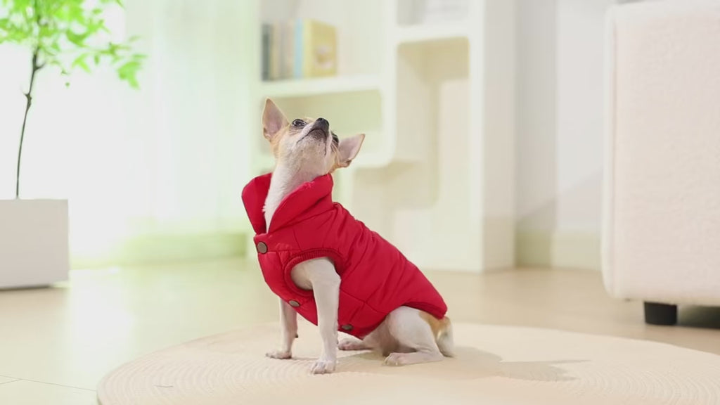 Veste d’Hiver Polaire pour Chien et Chat