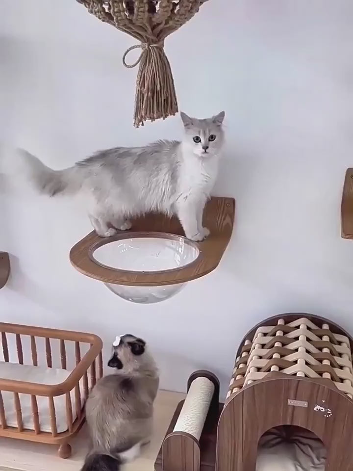 Arbre à Chat Mural en Bois