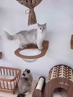 Arbre à Chat Mural en Bois