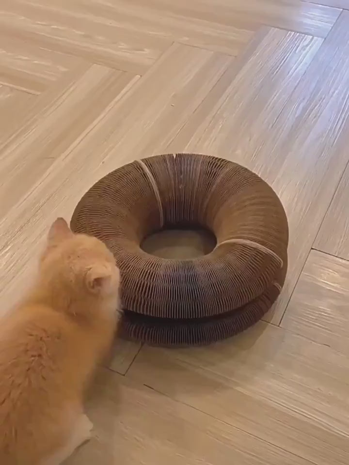 Griffoir rond pliable pour chat avec balle