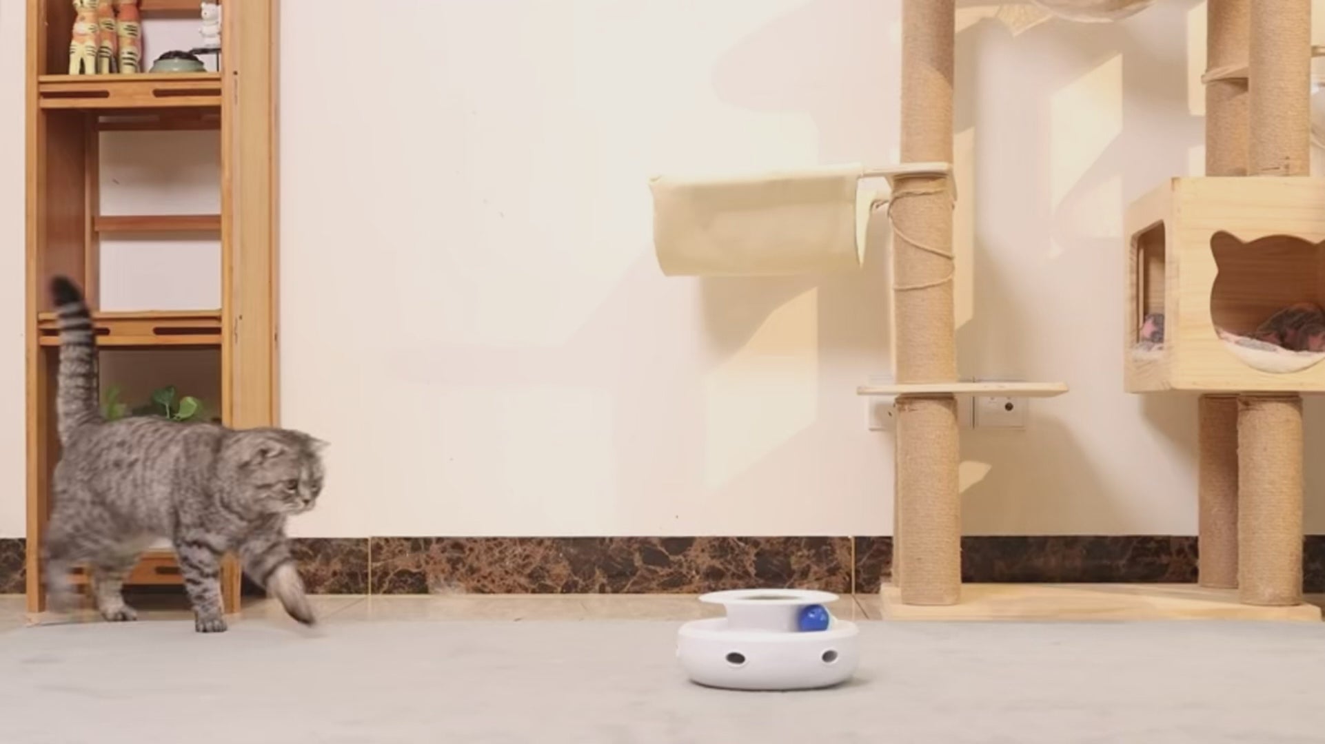 Jouet interactif automatique 2-en-1 pour chat
