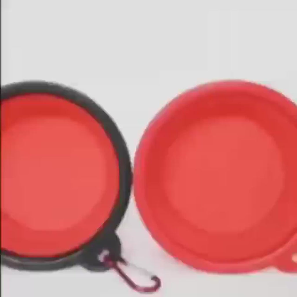 Bol pliable en silicone pour chien et chat