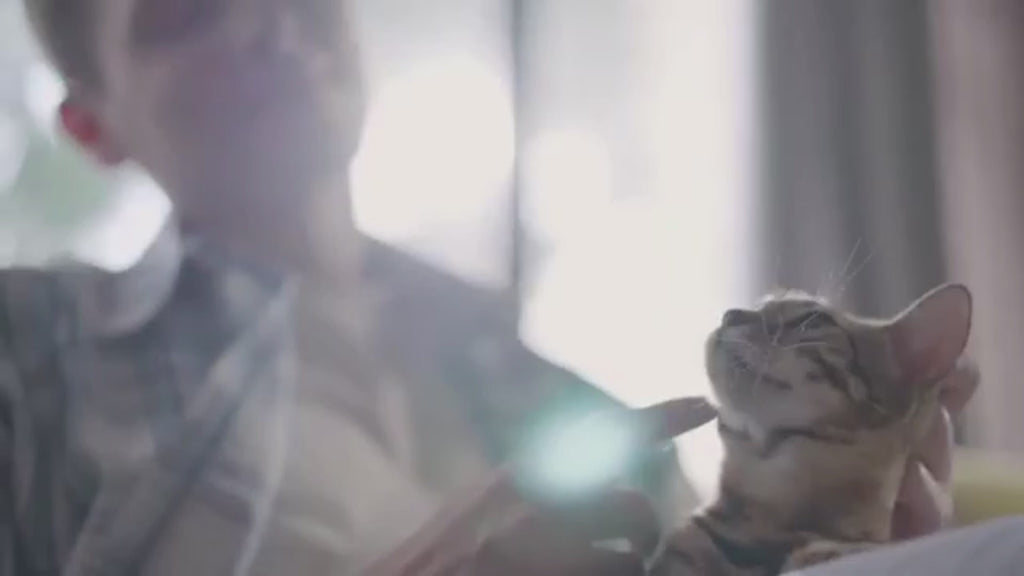 Fontaine en Acier Inoxydable 3L