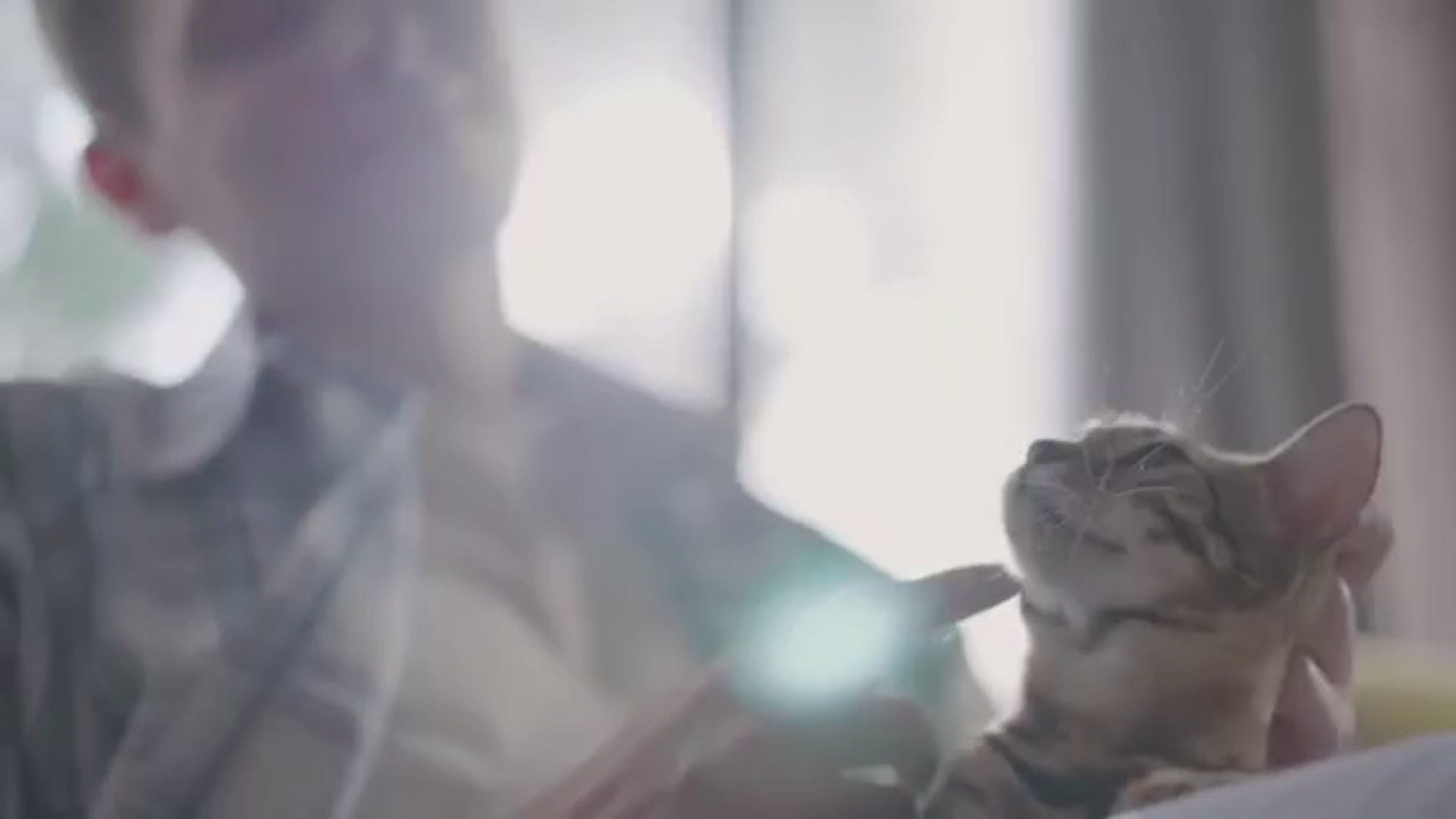 Fontaine en Acier Inoxydable 3L