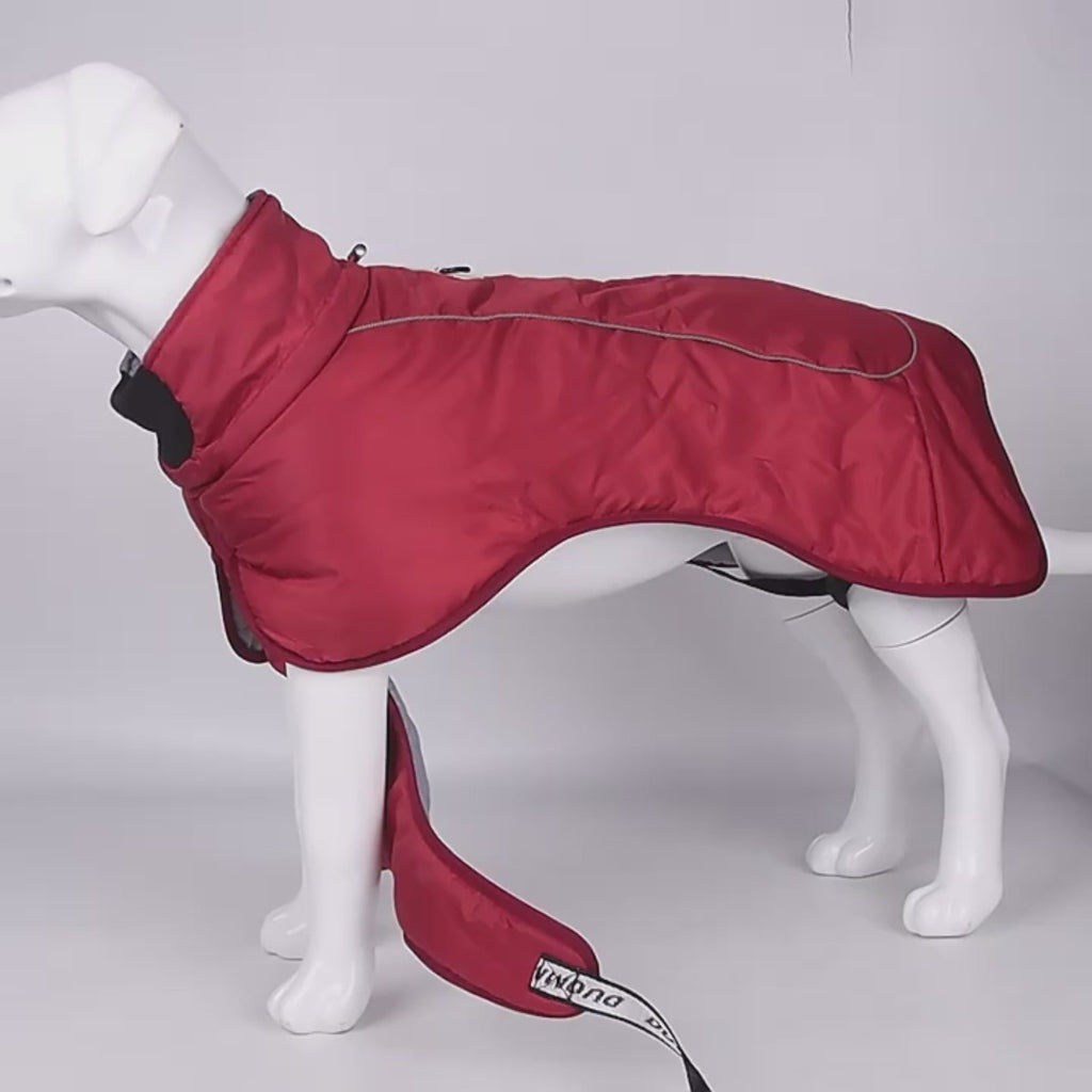 Veste d’hiver chaude coupe-vent - grand chien