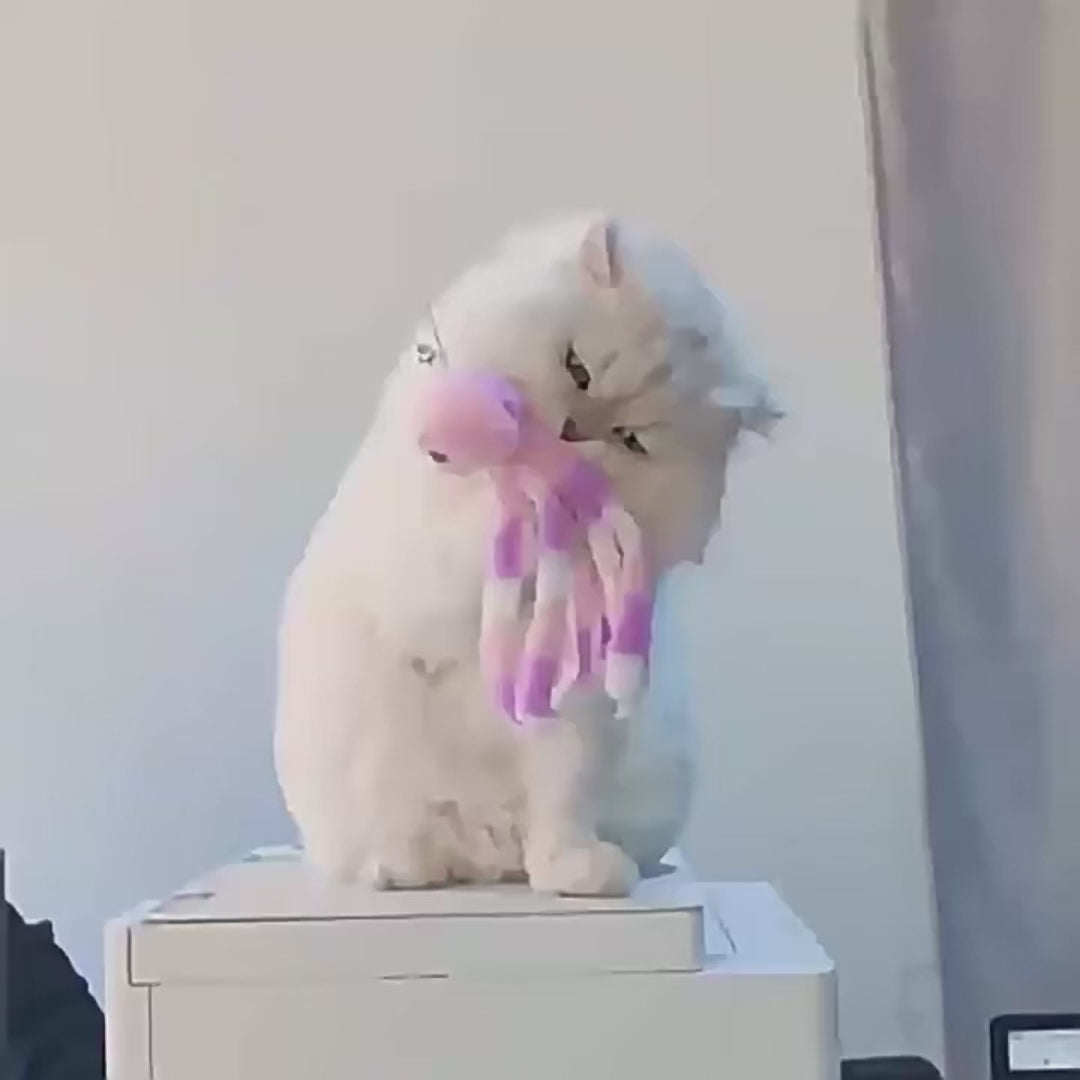 Jouet Peluche Poulpe pour Chat