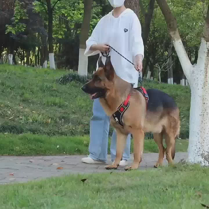 Harnais réfléchissant en tissu Oxford pour chien