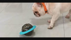 Boule de friandises interactive pour chien
