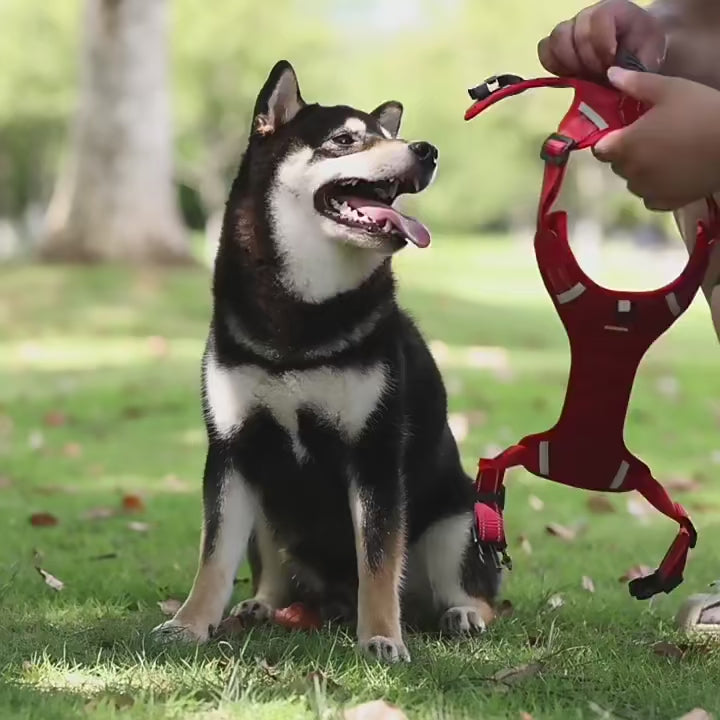 Harnais réfléchissant et respirant pour chien