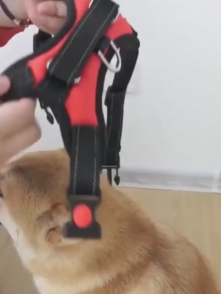 Harnais réfléchissant en tissu imperméable pour chien