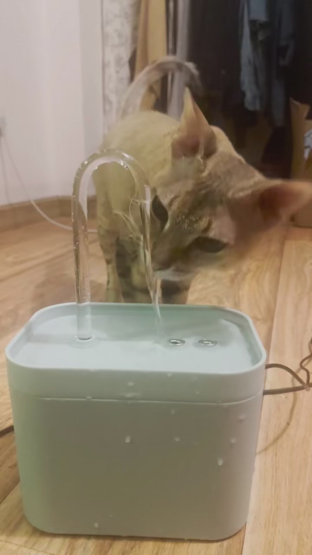 Fontaine Automatique 1,5L Silencieuse