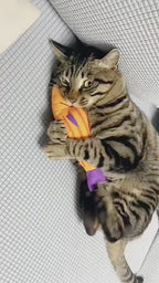 Jouet poisson 3D en herbe à chat