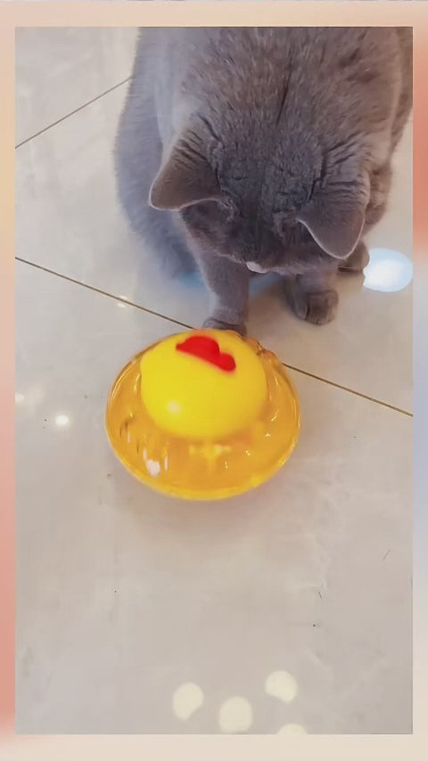 Distributeur de friandises poulet - chien ou chat