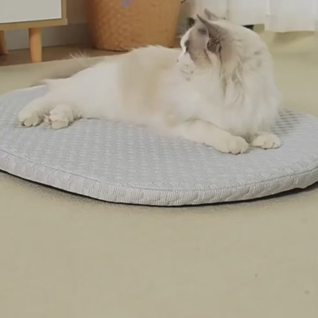 Coussin rafraîchissant avec oreiller - chien et chat