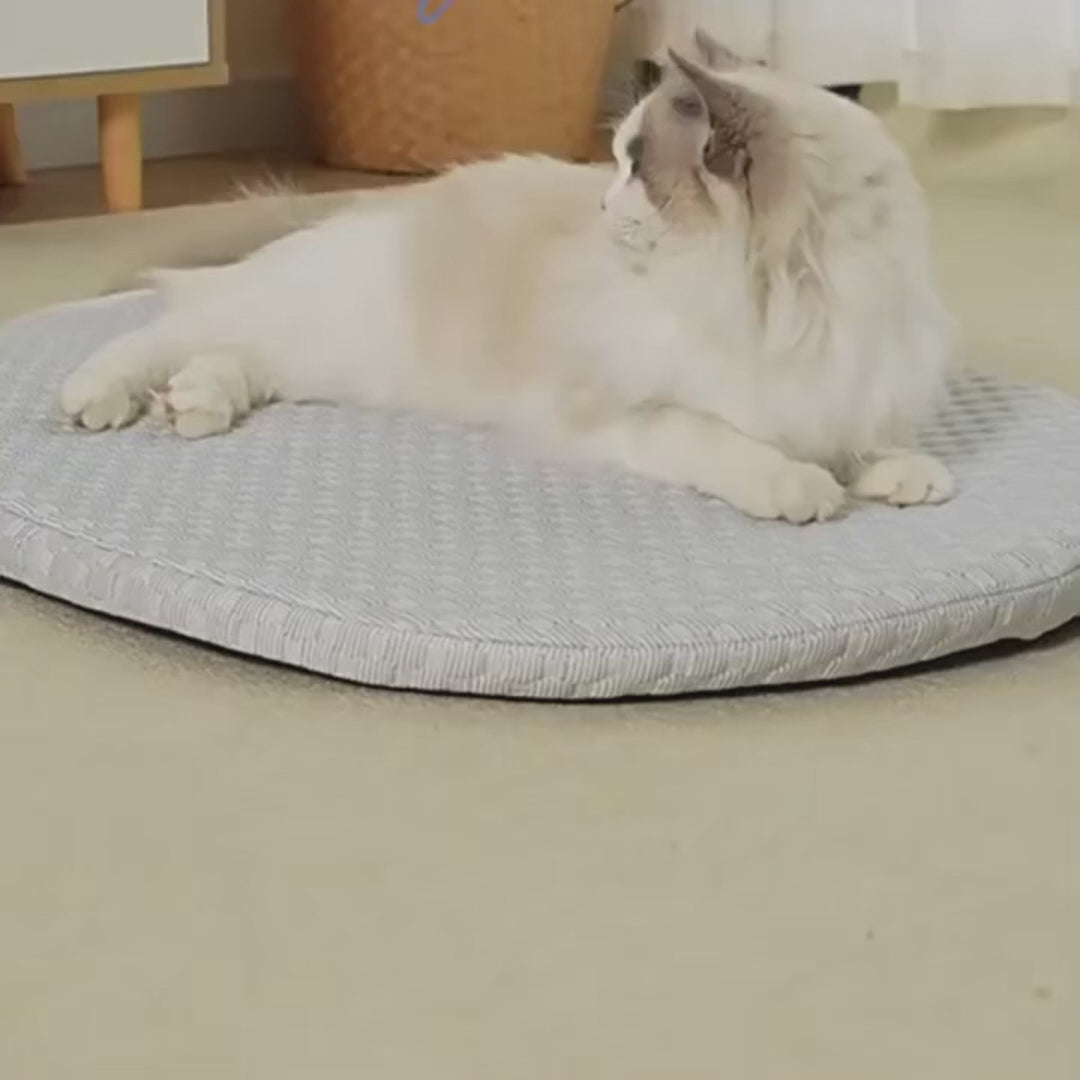 Coussin rafraîchissant avec oreiller - chien et chat