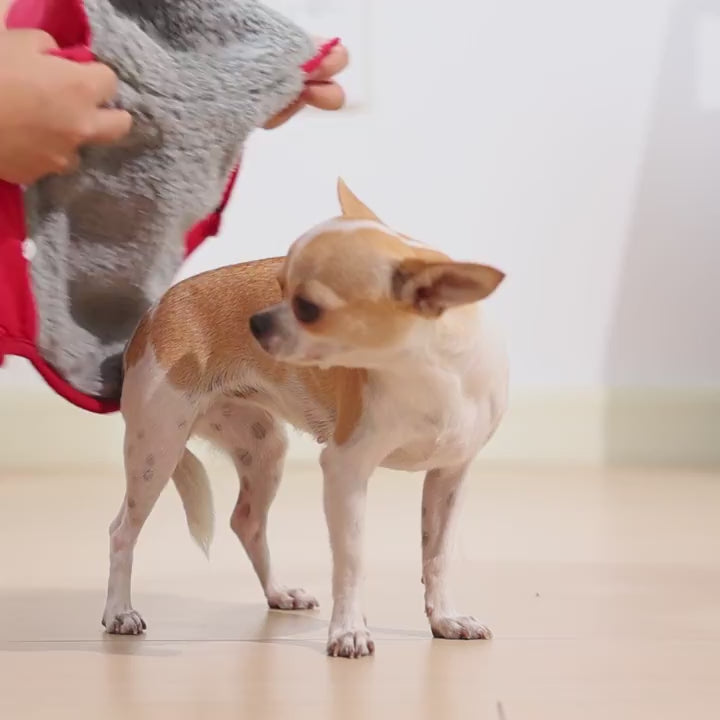 Veste d’Hiver à Capuche Imperméable pour Chien et Chat