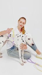 Collier ou laisse en PVC pour chien