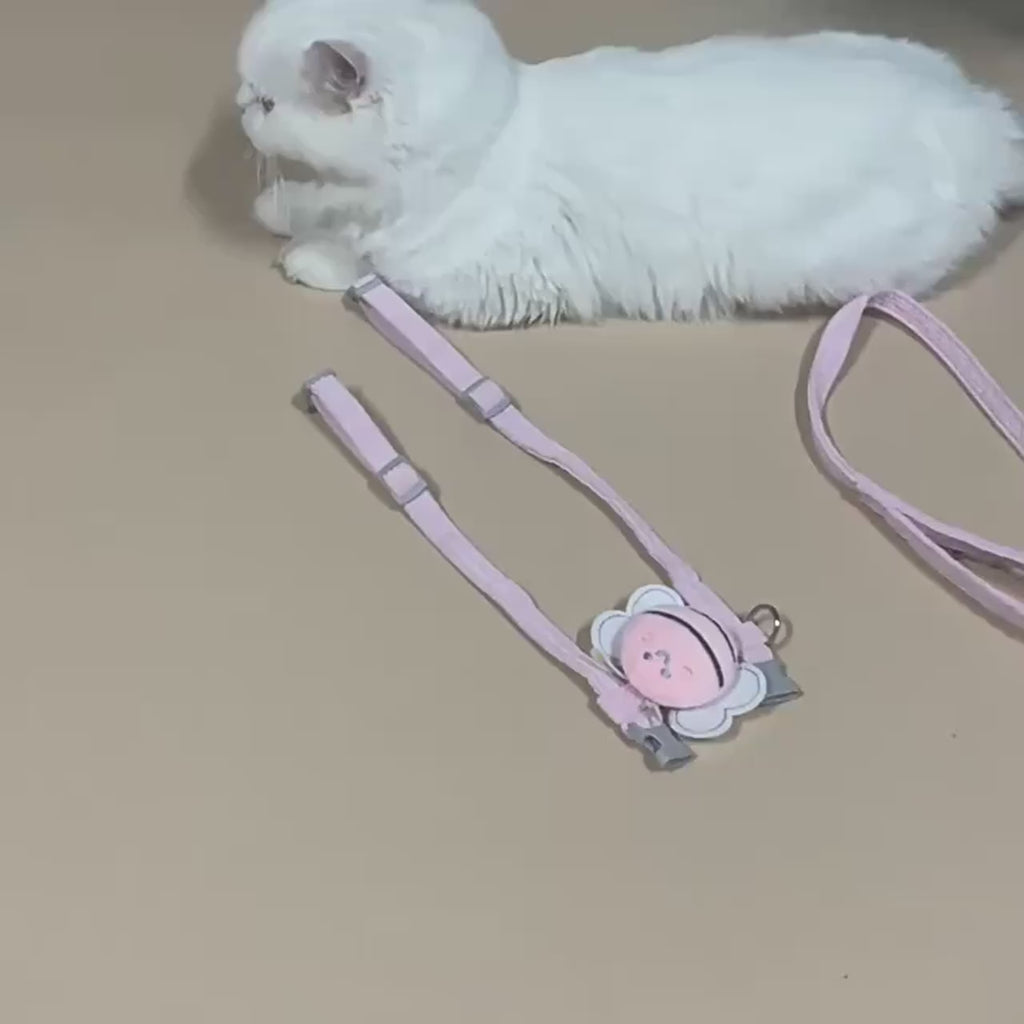 Harnais Abeille avec Laisse pour Chat
