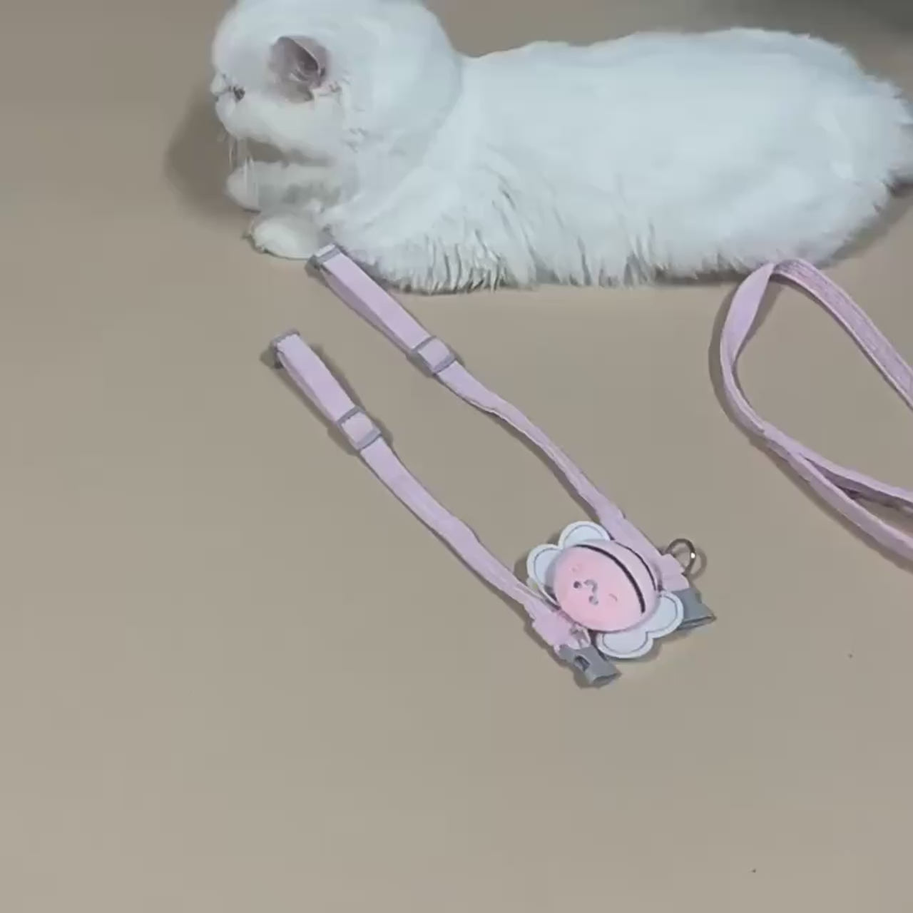 Harnais Abeille avec Laisse pour Chat