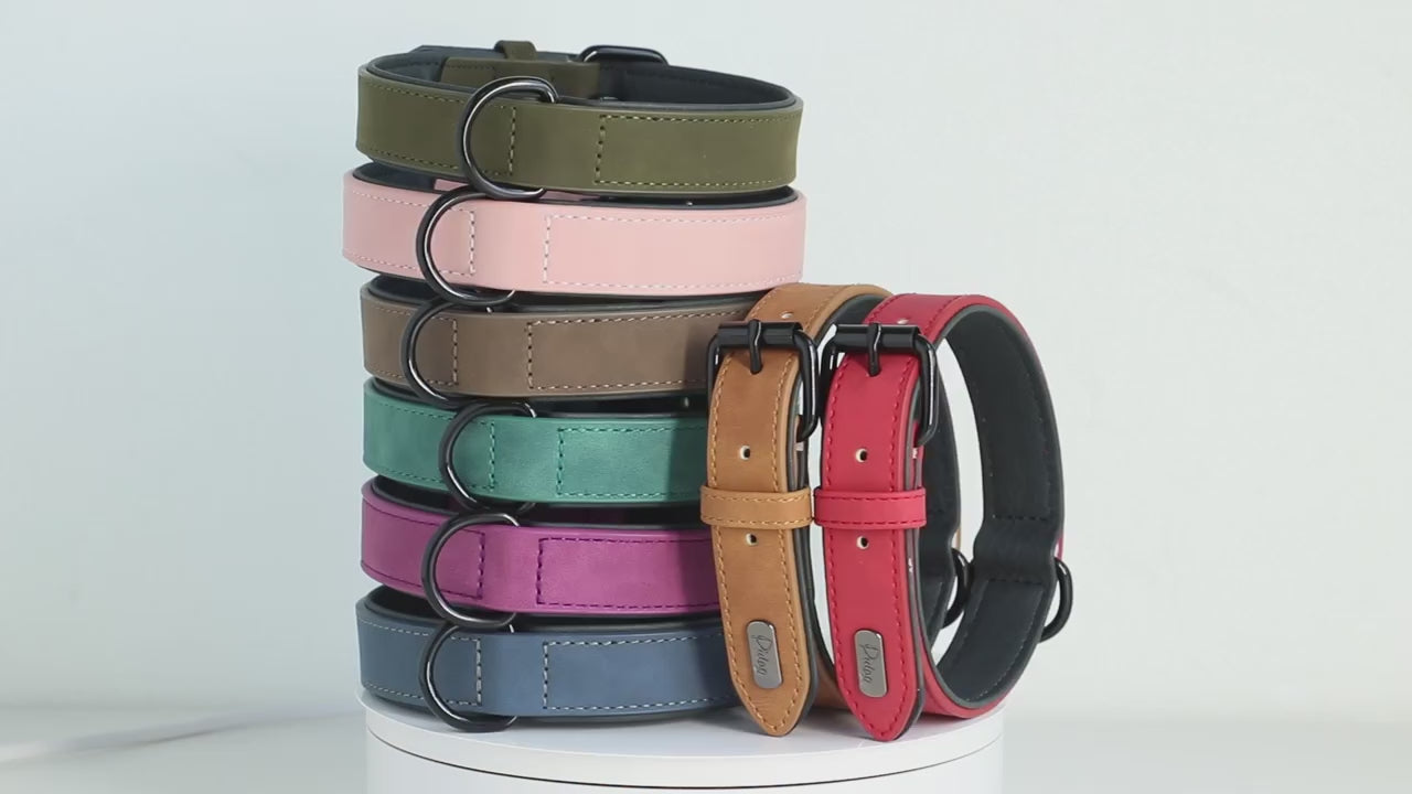 Collier en cuir respirant pour chien