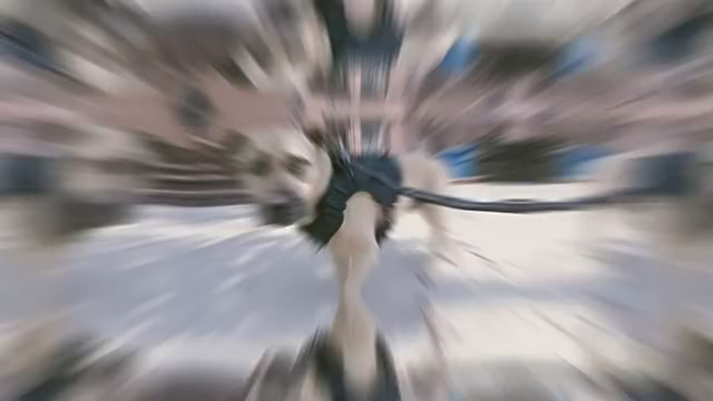 Laisse 4-en-1 réfléchissante et amortissante pour chien