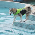Gilet de sauvetage d’été pour chien