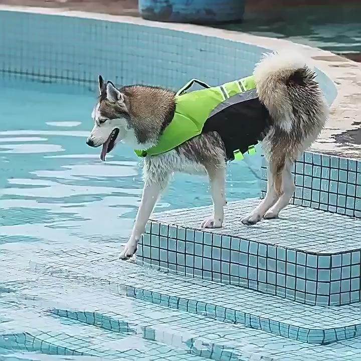 Gilet de sauvetage d’été pour chien