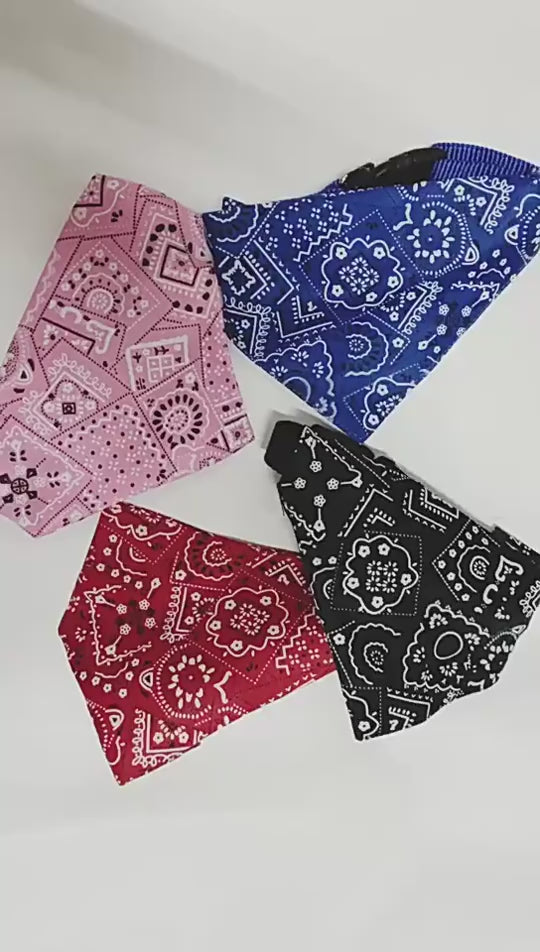 Collier bandana pour chien & chat
