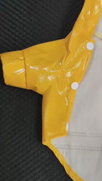 Manteau imperméable réfléchissant pour chien & chat