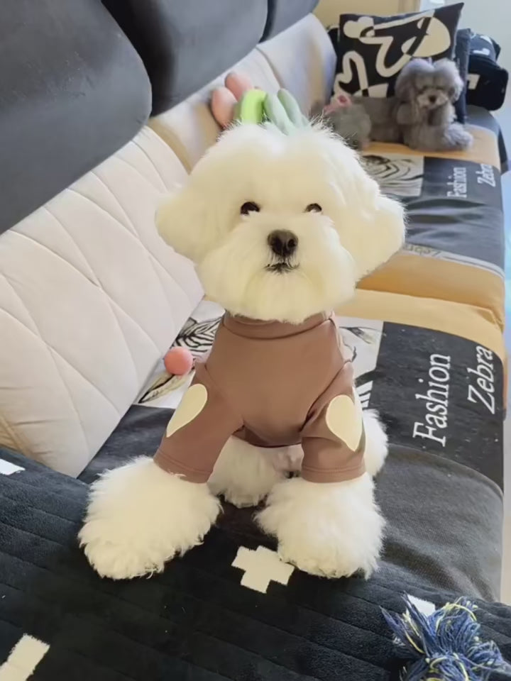 Pull chaud - chien ou chat