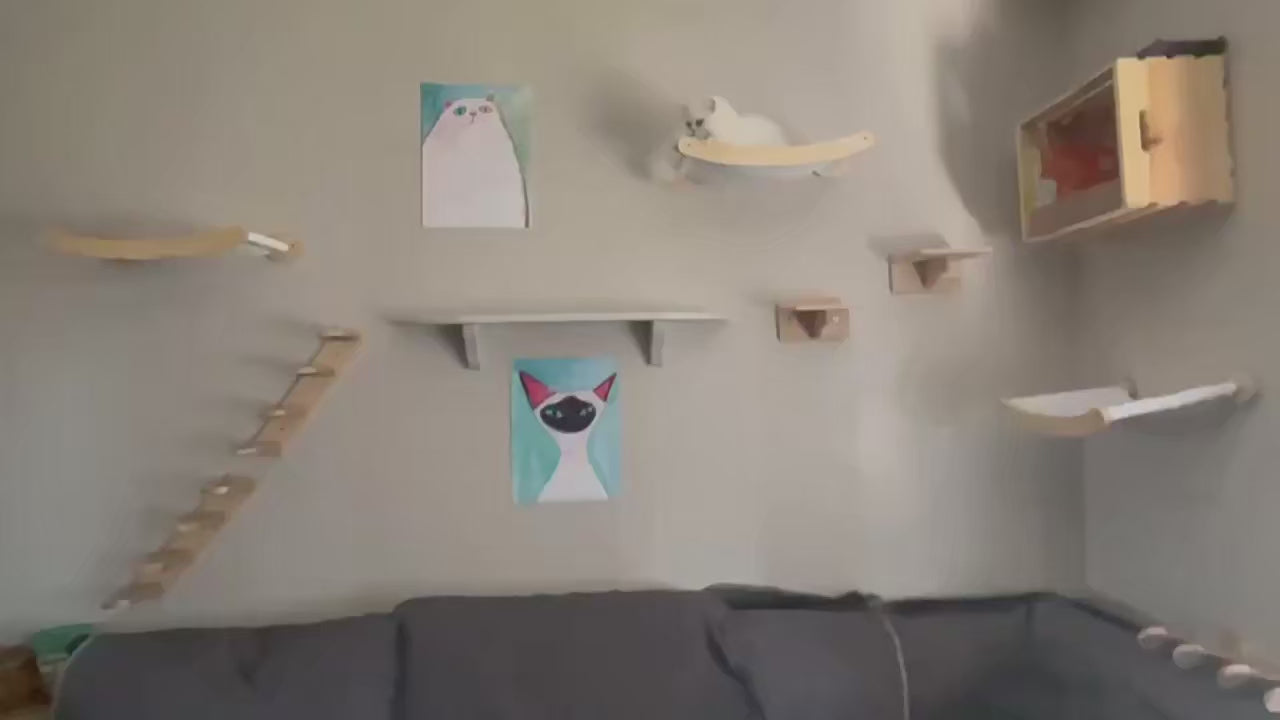 Arbre à Chat Mural en Bois