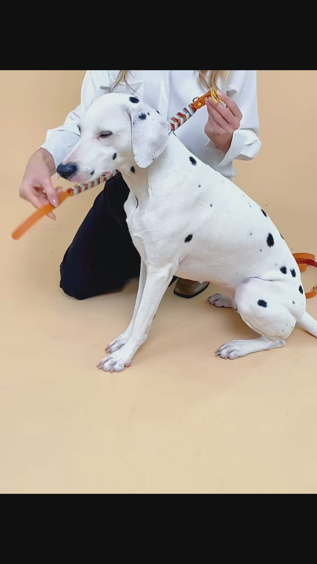 Collier chien fait main coloré réglable