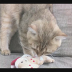 Jouet Bonhomme Pain d’Épice pour Chat