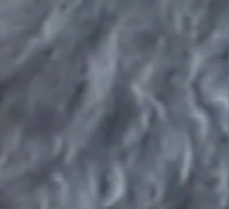 Collier en nylon solide pour chien