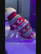 Pull de Noël col roulé pour chien & chat