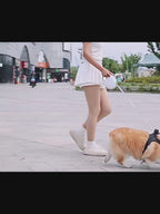 Laisse Rétractable 3 m / 5 m pour Chat ou Petit et Moyen Chien