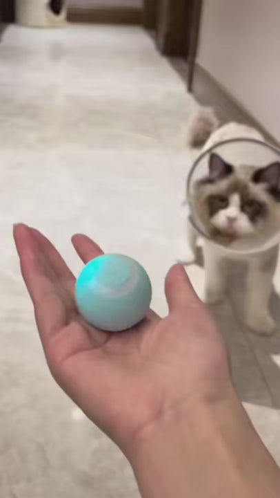 Balle interactive rechargeable pour chat