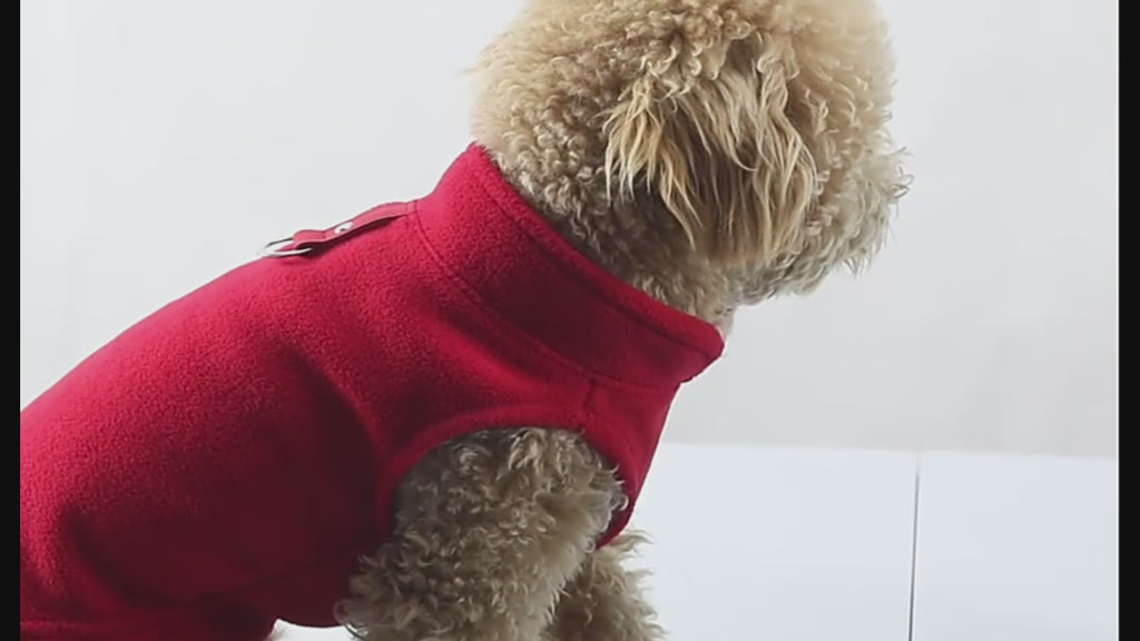 Gilet polaire - petit chien et chat
