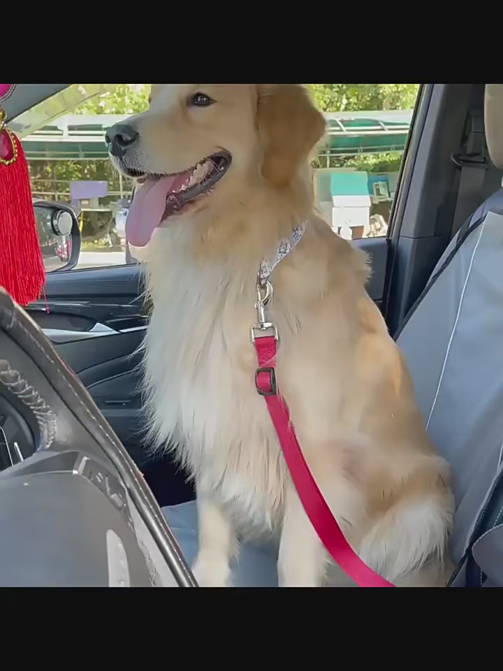 Ceinture de sécurité réglable pour chien et chat
