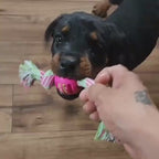 Balle avec corde en coton pour chiots & petits chiens