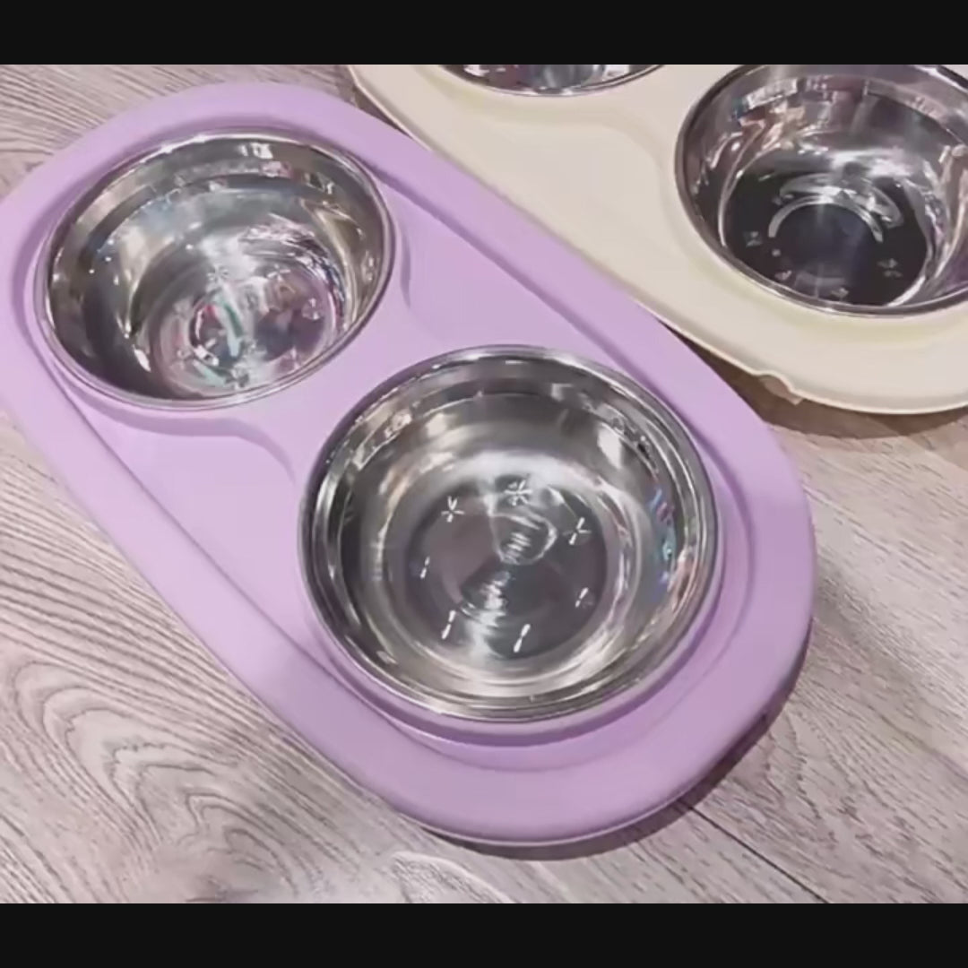 Bol double surélevé en inox avec support en PVC pour chat & petit chien